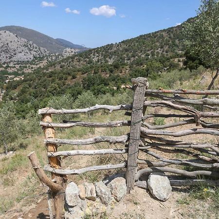 Les Bergeries "Le Figuier" Ξενοδοχείο Omessa Εξωτερικό φωτογραφία