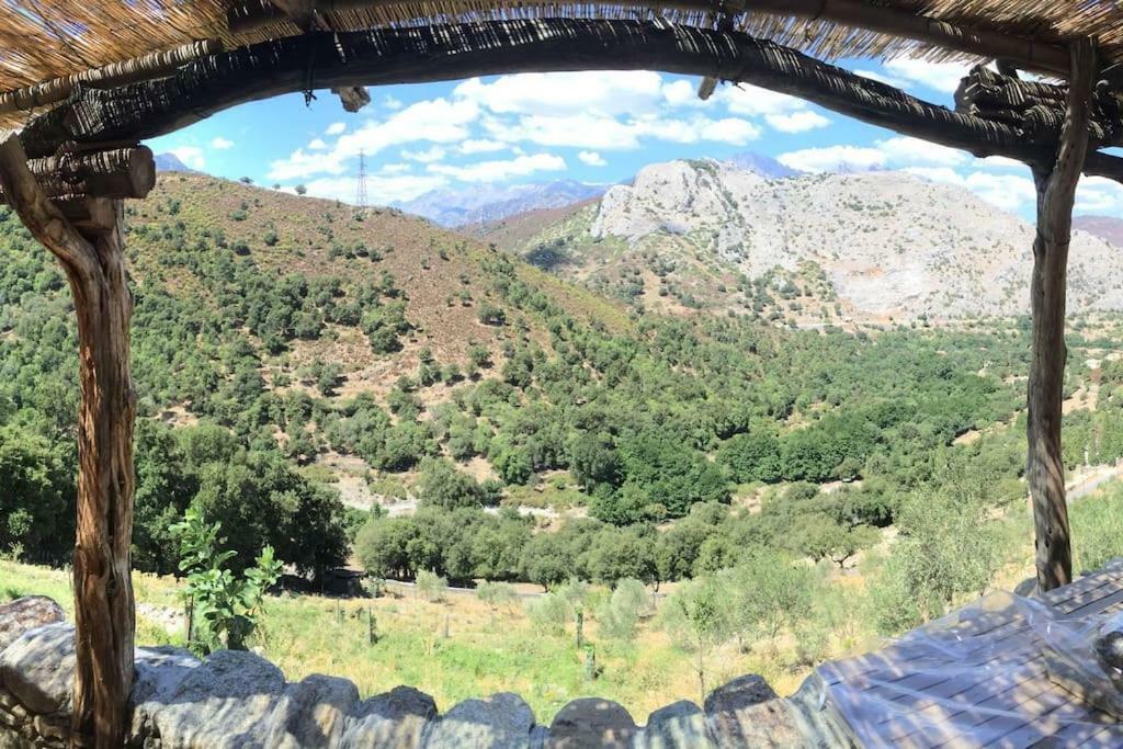 Les Bergeries "Le Figuier" Ξενοδοχείο Omessa Εξωτερικό φωτογραφία