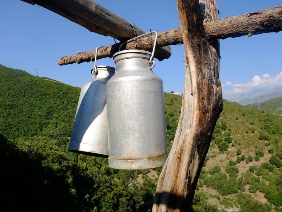Les Bergeries "Le Figuier" Ξενοδοχείο Omessa Εξωτερικό φωτογραφία