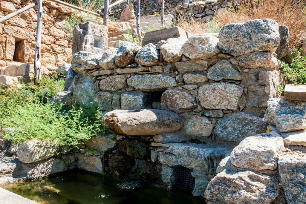 Les Bergeries "Le Figuier" Ξενοδοχείο Omessa Εξωτερικό φωτογραφία