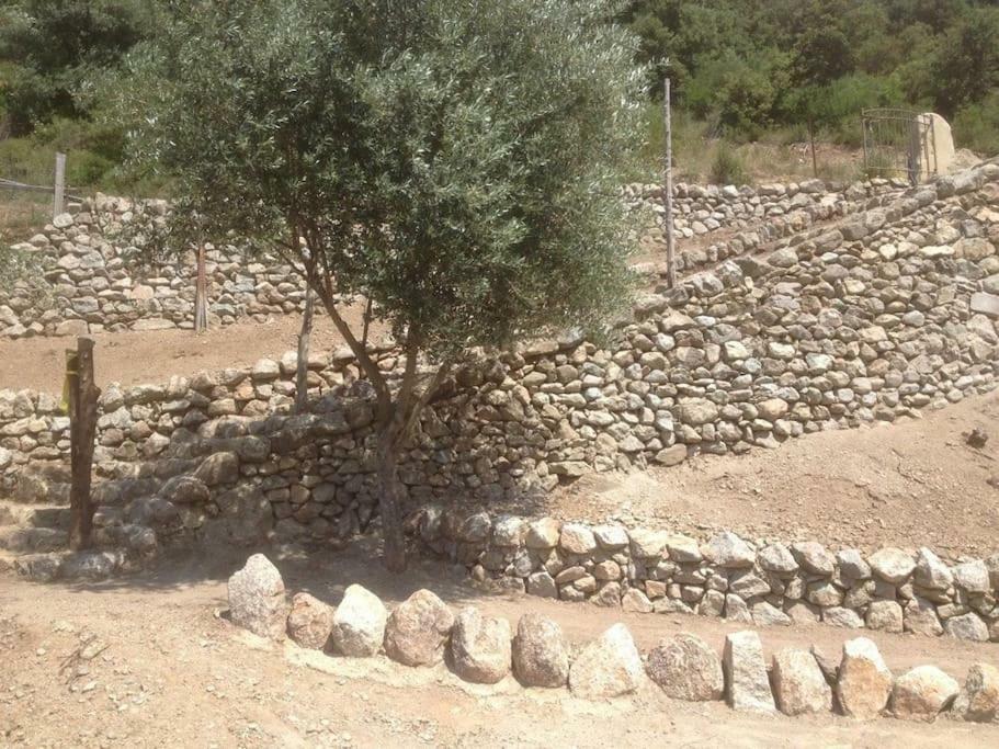 Les Bergeries "Le Figuier" Ξενοδοχείο Omessa Εξωτερικό φωτογραφία
