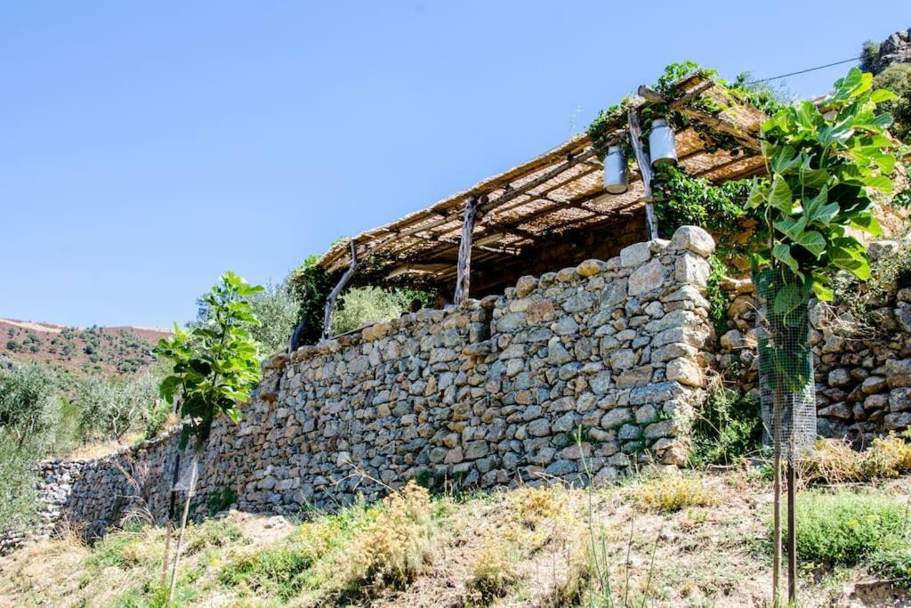 Les Bergeries "Le Figuier" Ξενοδοχείο Omessa Εξωτερικό φωτογραφία