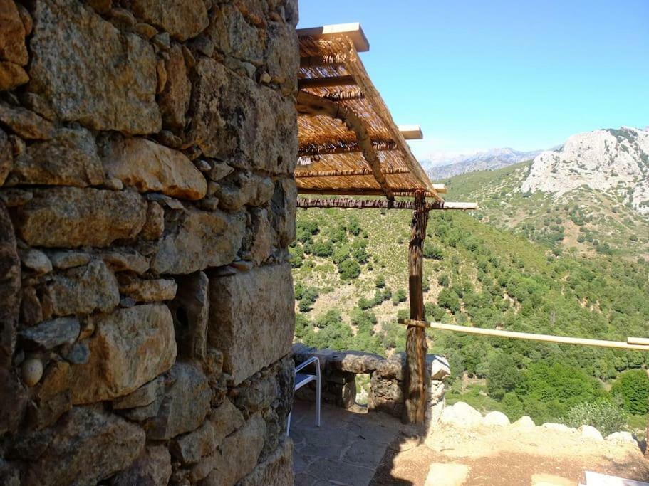 Les Bergeries "Le Figuier" Ξενοδοχείο Omessa Εξωτερικό φωτογραφία