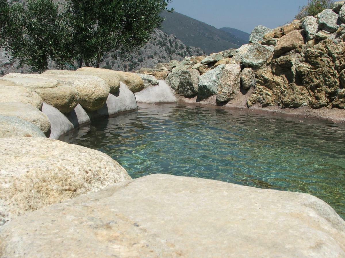 Les Bergeries "Le Figuier" Ξενοδοχείο Omessa Εξωτερικό φωτογραφία