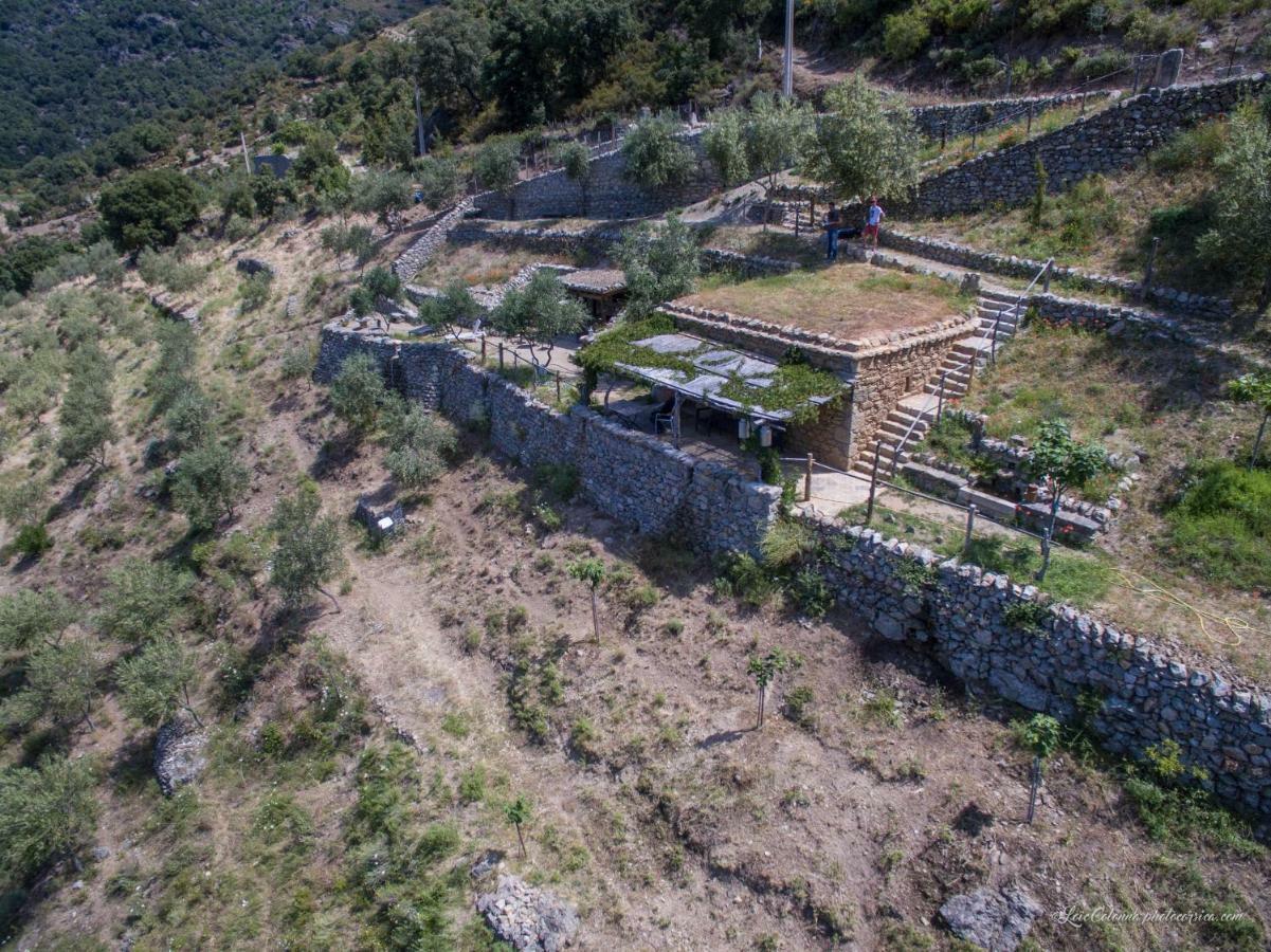 Les Bergeries "Le Figuier" Ξενοδοχείο Omessa Εξωτερικό φωτογραφία