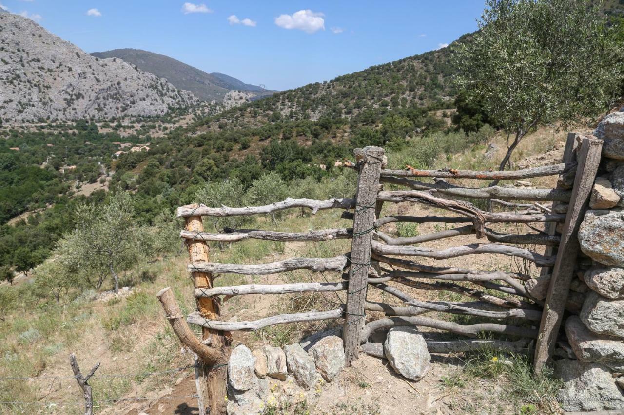 Les Bergeries "Le Figuier" Ξενοδοχείο Omessa Εξωτερικό φωτογραφία
