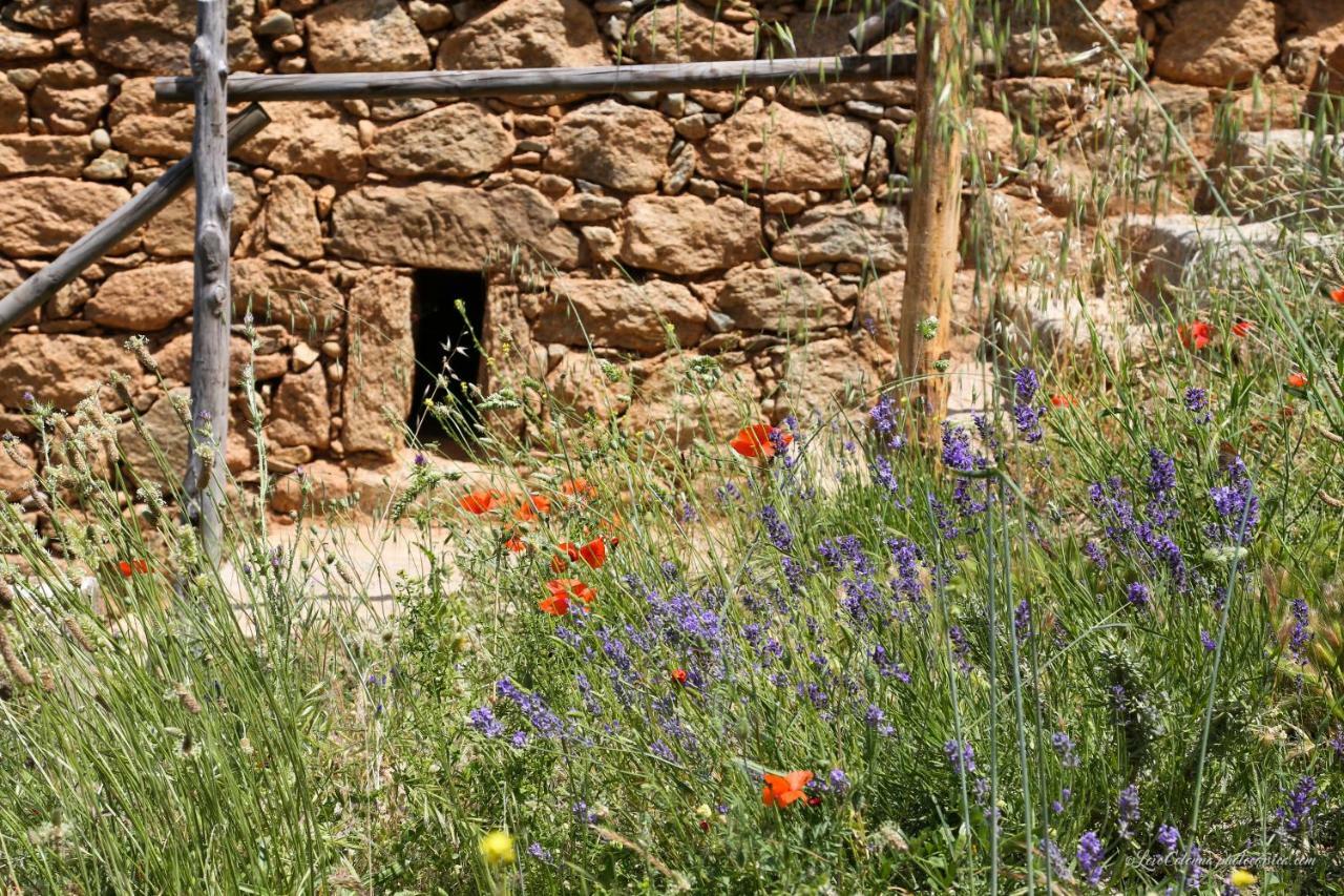 Les Bergeries "Le Figuier" Ξενοδοχείο Omessa Εξωτερικό φωτογραφία