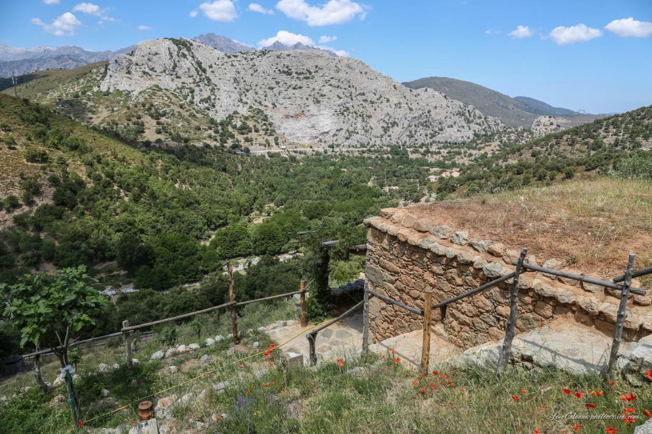 Les Bergeries "Le Figuier" Ξενοδοχείο Omessa Εξωτερικό φωτογραφία