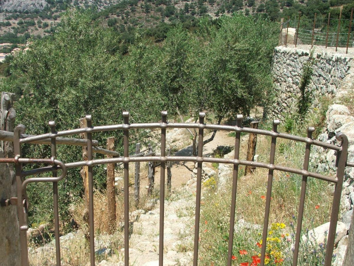 Les Bergeries "Le Figuier" Ξενοδοχείο Omessa Εξωτερικό φωτογραφία