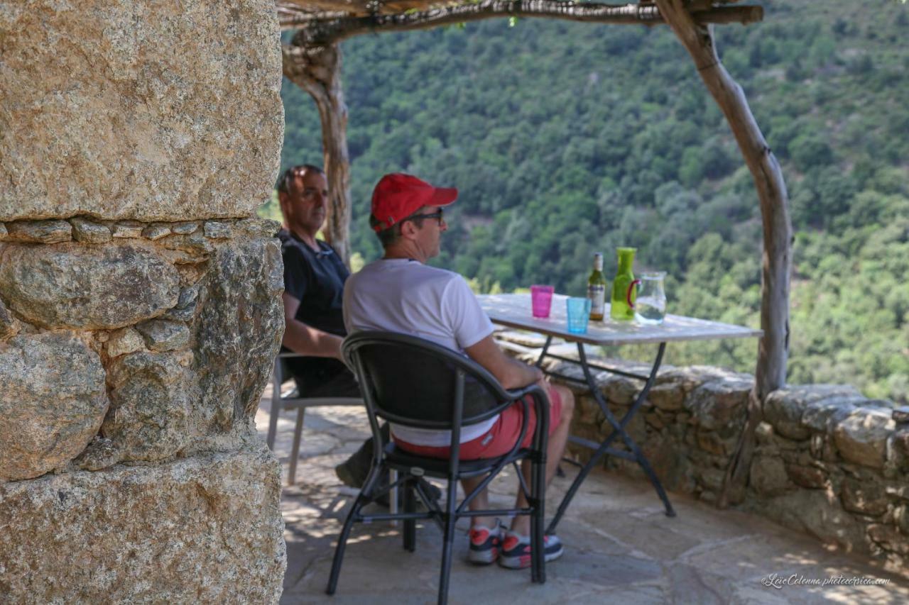 Les Bergeries "Le Figuier" Ξενοδοχείο Omessa Εξωτερικό φωτογραφία
