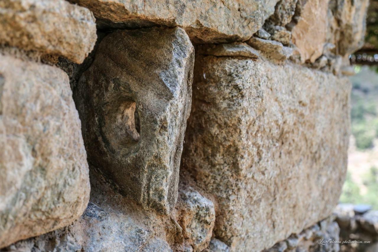 Les Bergeries "Le Figuier" Ξενοδοχείο Omessa Εξωτερικό φωτογραφία