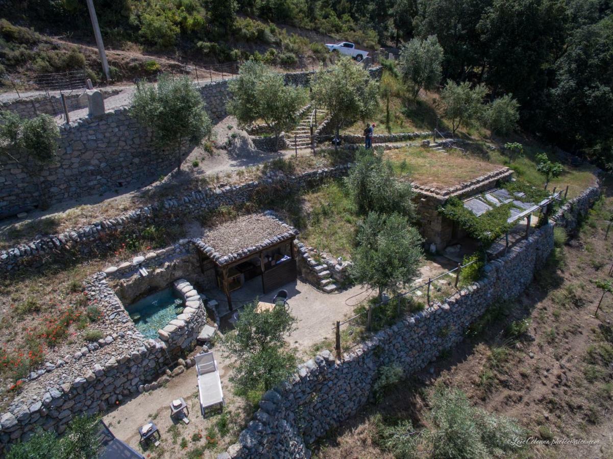 Les Bergeries "Le Figuier" Ξενοδοχείο Omessa Εξωτερικό φωτογραφία