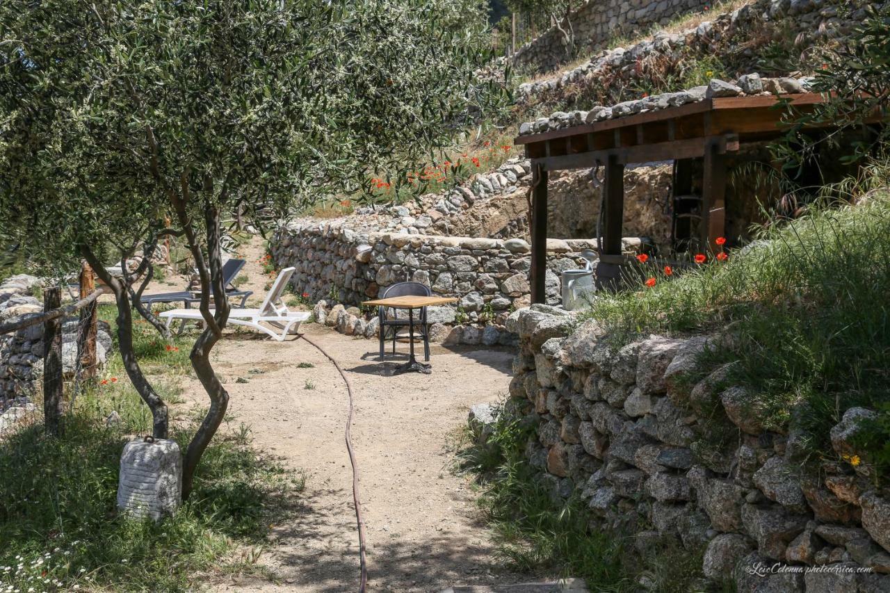 Les Bergeries "Le Figuier" Ξενοδοχείο Omessa Εξωτερικό φωτογραφία